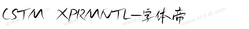 CSTM XPRMNTL字体转换